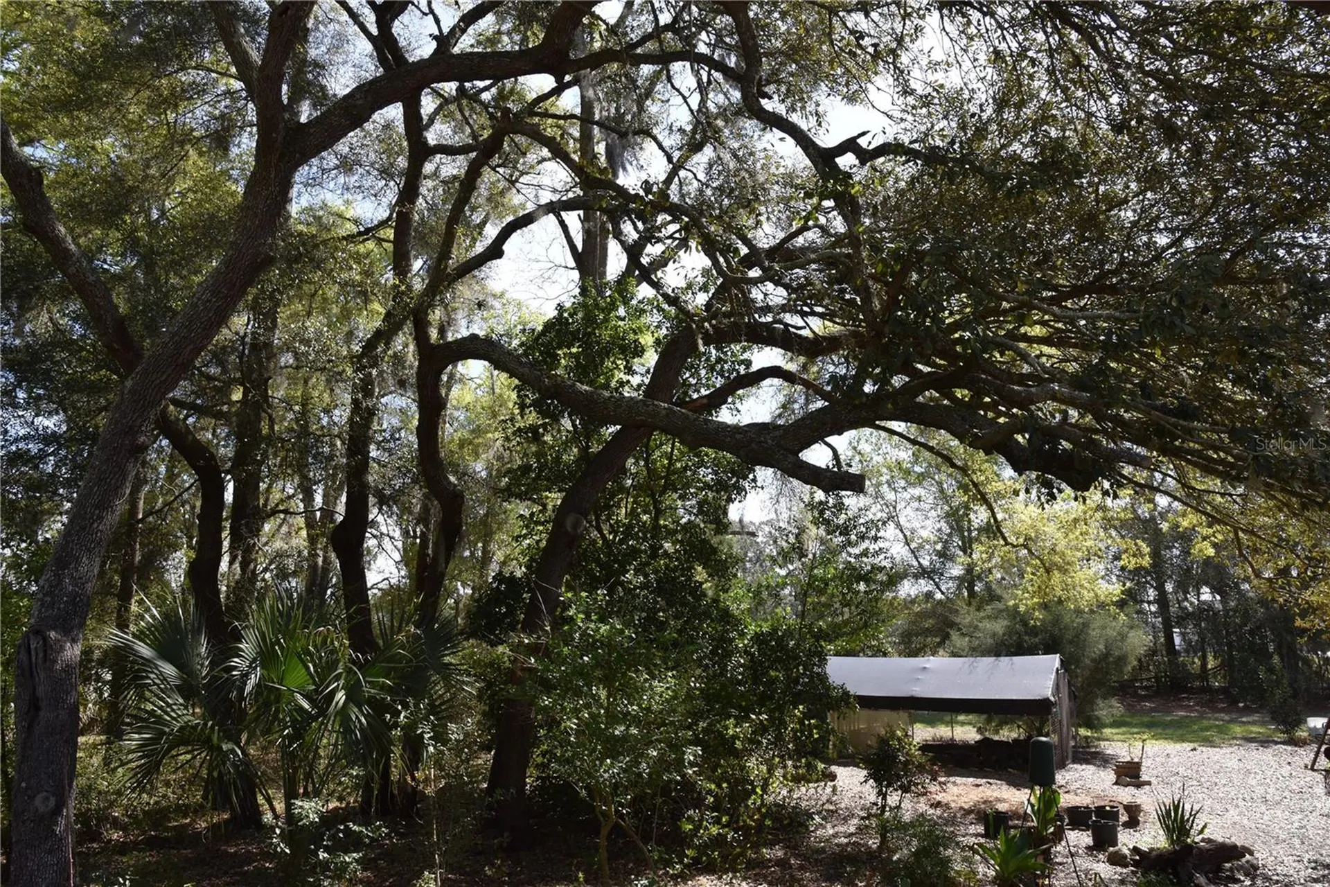 6482 SE 55th Street Trenton FL 32693