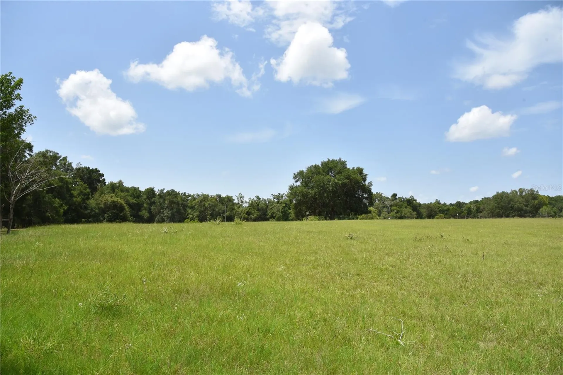 6482 SE 55th Street Trenton FL 32693