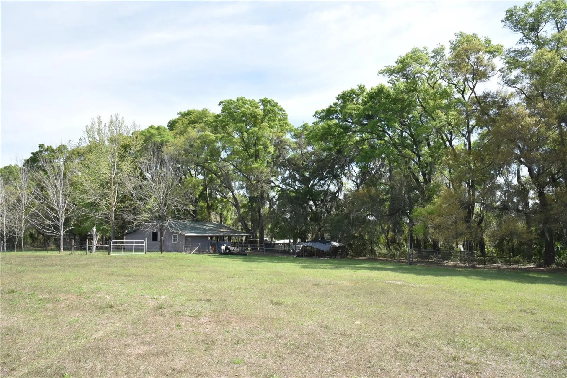 6482 SE 55th Street Trenton FL 32693