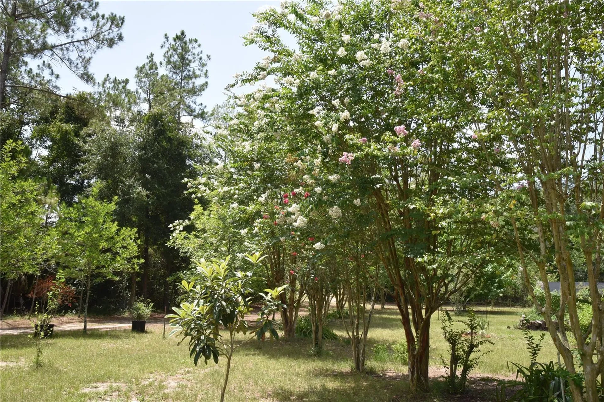 6482 SE 55th Street Trenton FL 32693
