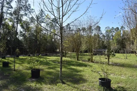6482 SE 55th Street Trenton FL 32693