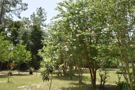 6482 SE 55th Street Trenton FL 32693