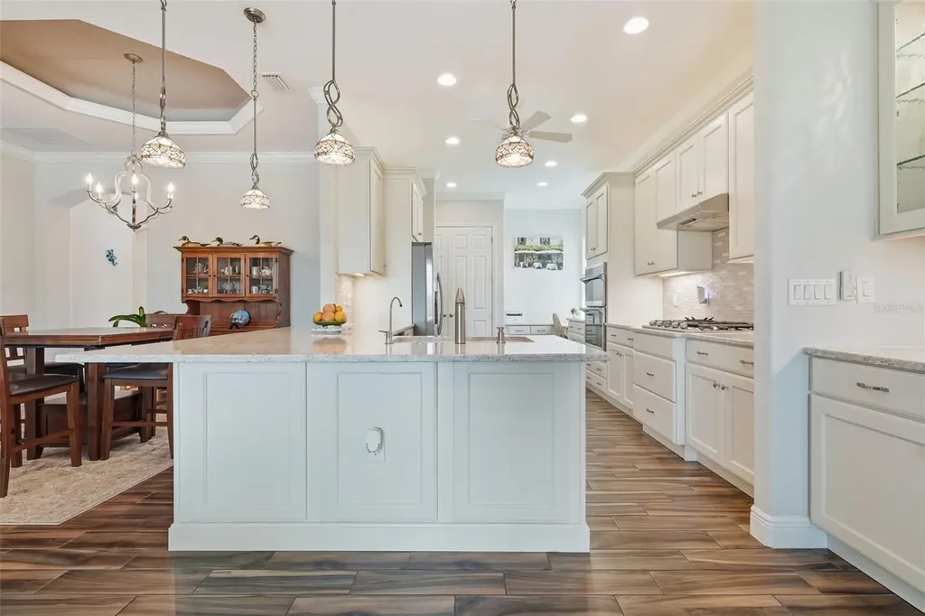8732 Providence Court Mount Dora FL 32757
