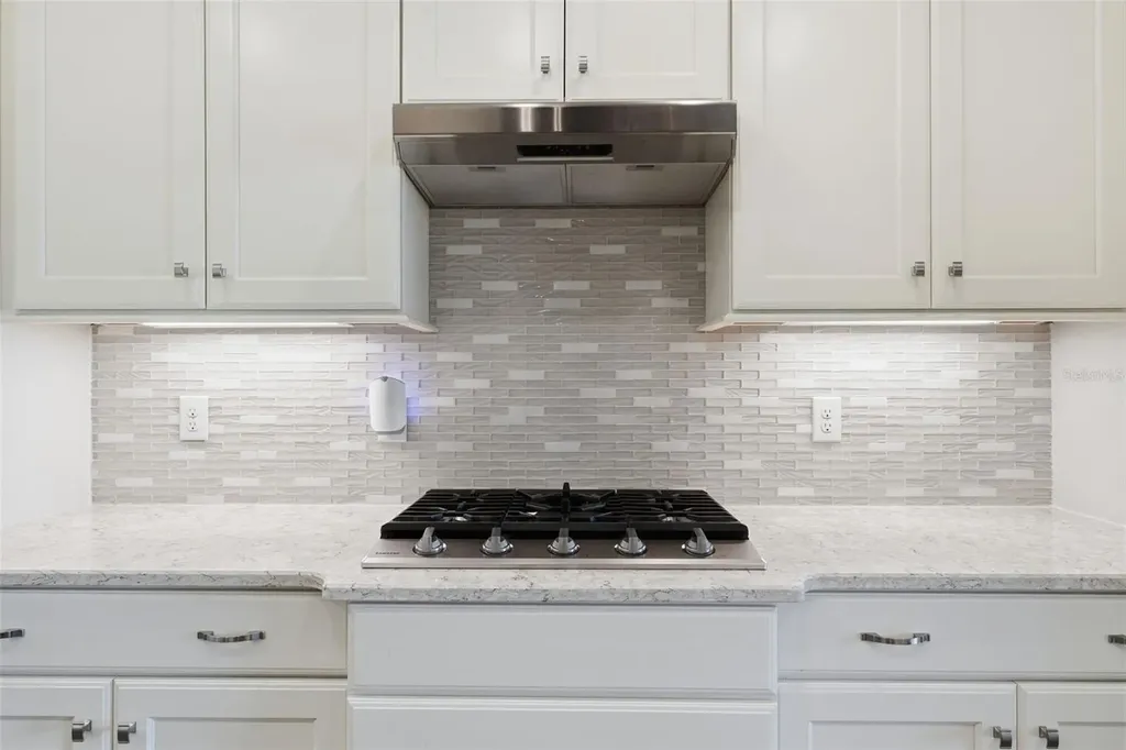 8732 Providence Court Mount Dora FL 32757