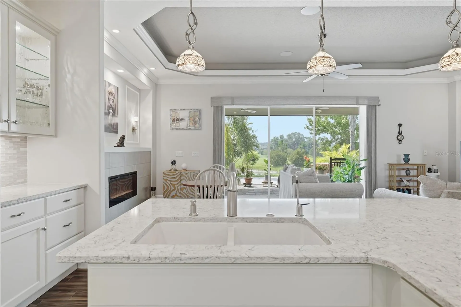 8732 Providence Court Mount Dora FL 32757