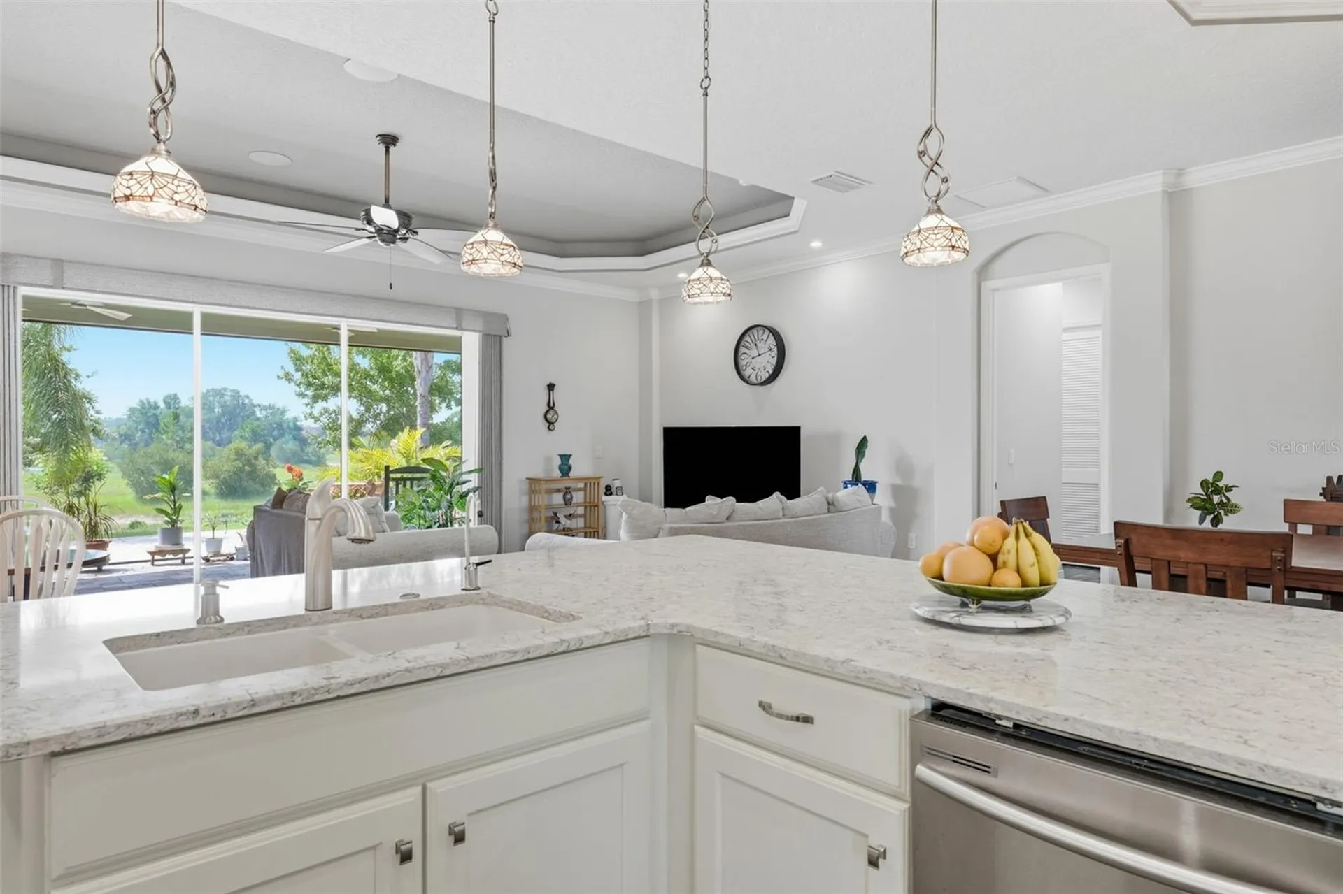 8732 Providence Court Mount Dora FL 32757