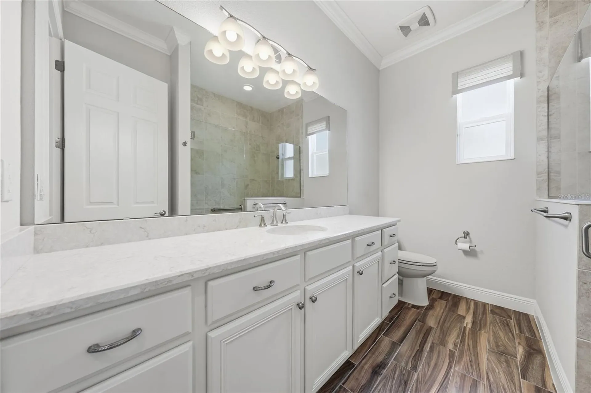 8732 Providence Court Mount Dora FL 32757