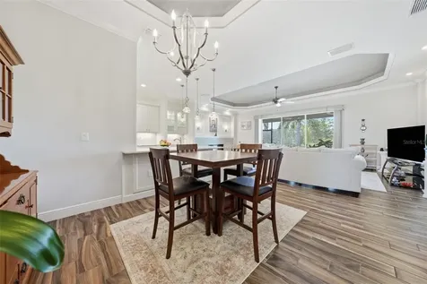 8732 Providence Court Mount Dora FL 32757