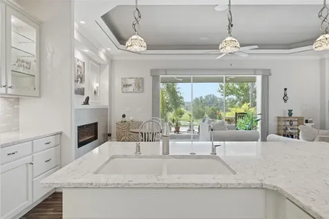 8732 Providence Court Mount Dora FL 32757