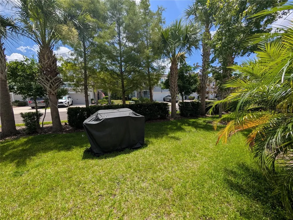 17849 Althea Blue Place Lutz FL 33558