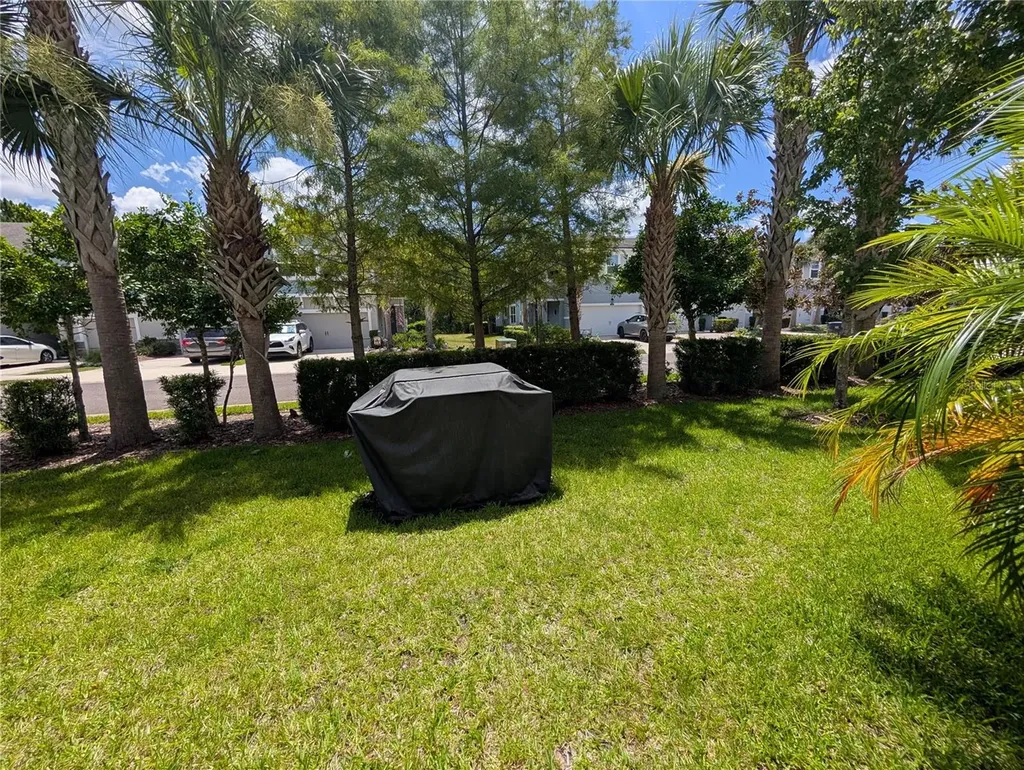 17849 Althea Blue Place Lutz FL 33558