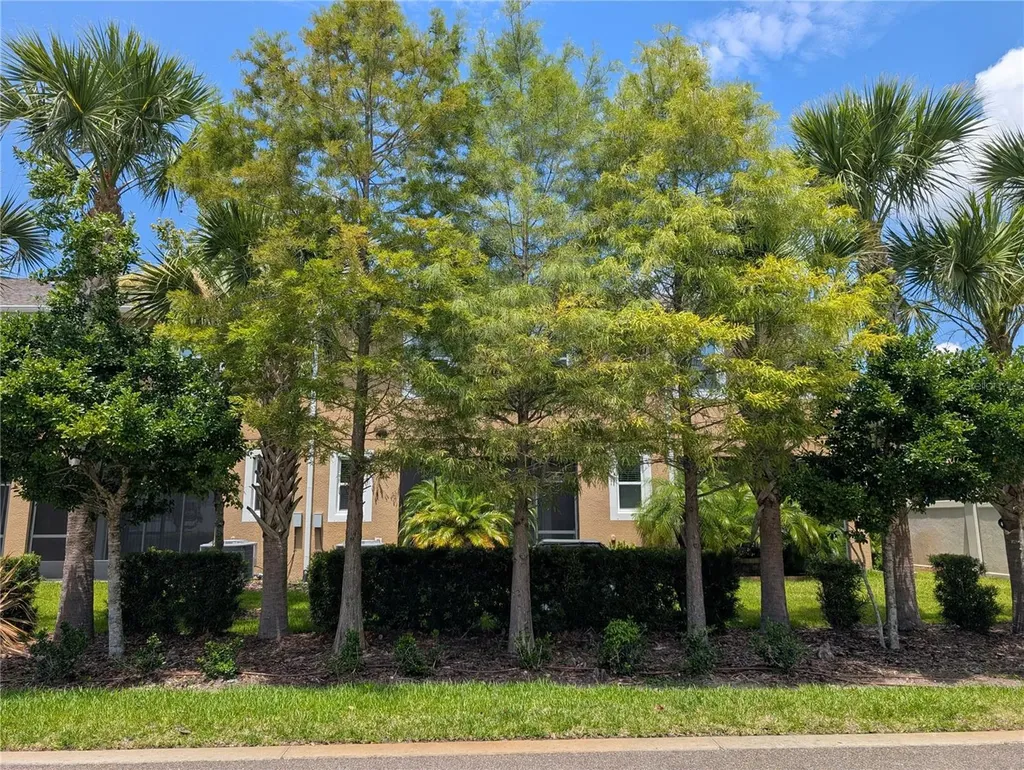 17849 Althea Blue Place Lutz FL 33558
