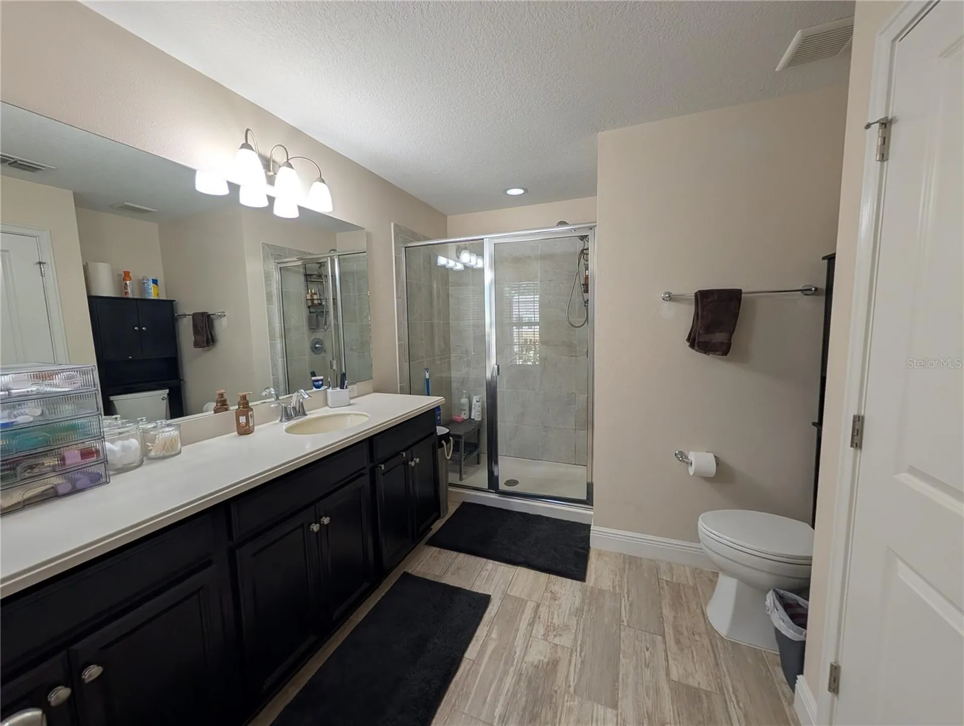 17849 Althea Blue Place Lutz FL 33558