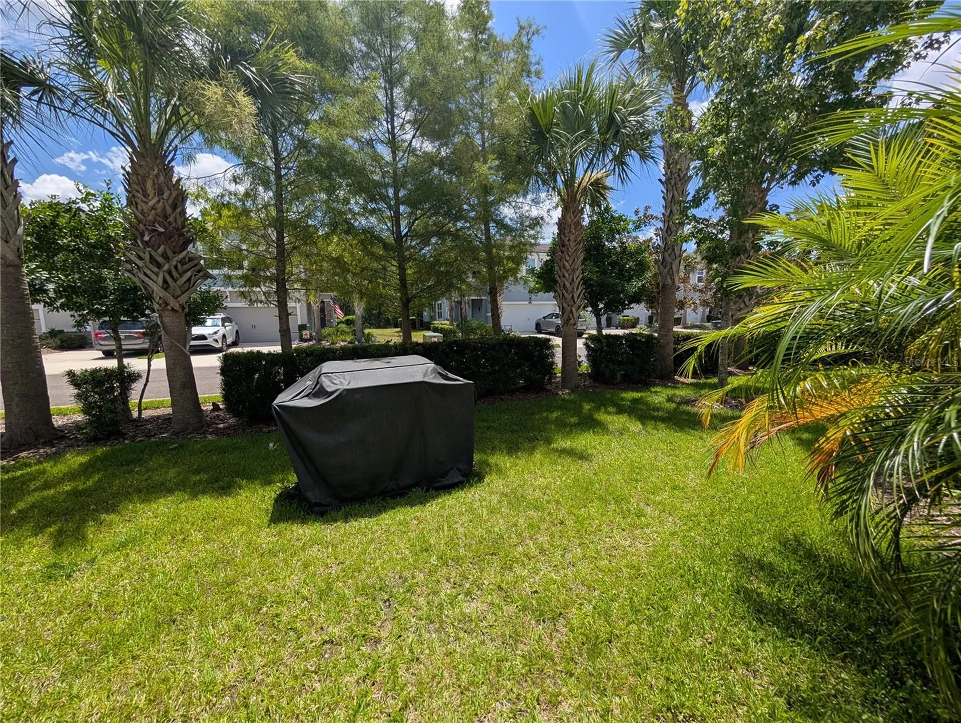 17849 Althea Blue Place Lutz FL 33558