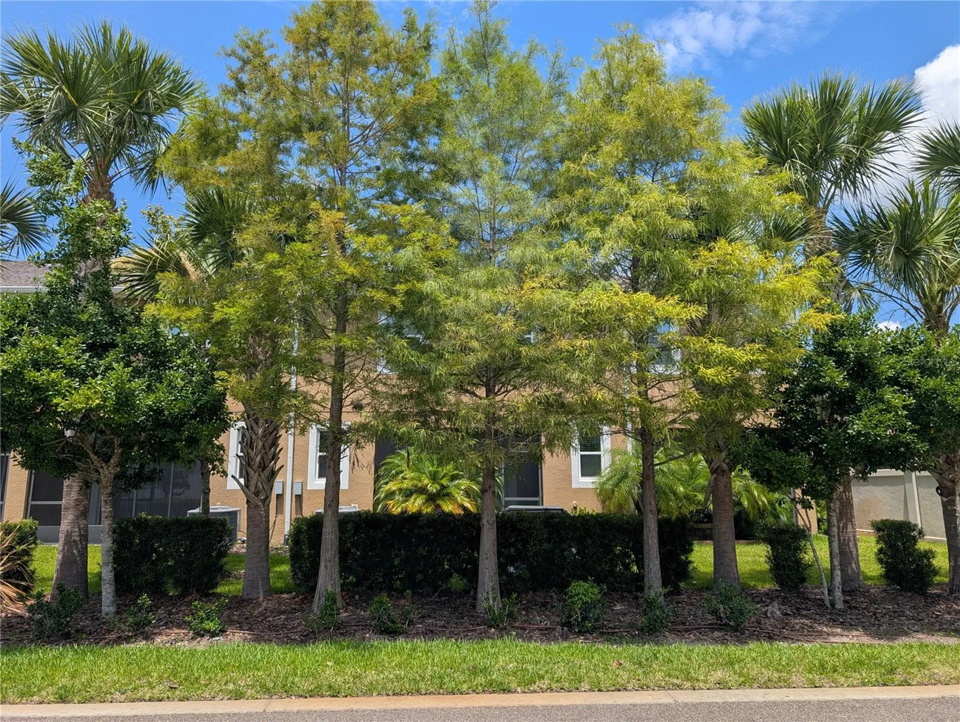 17849 Althea Blue Place Lutz FL 33558