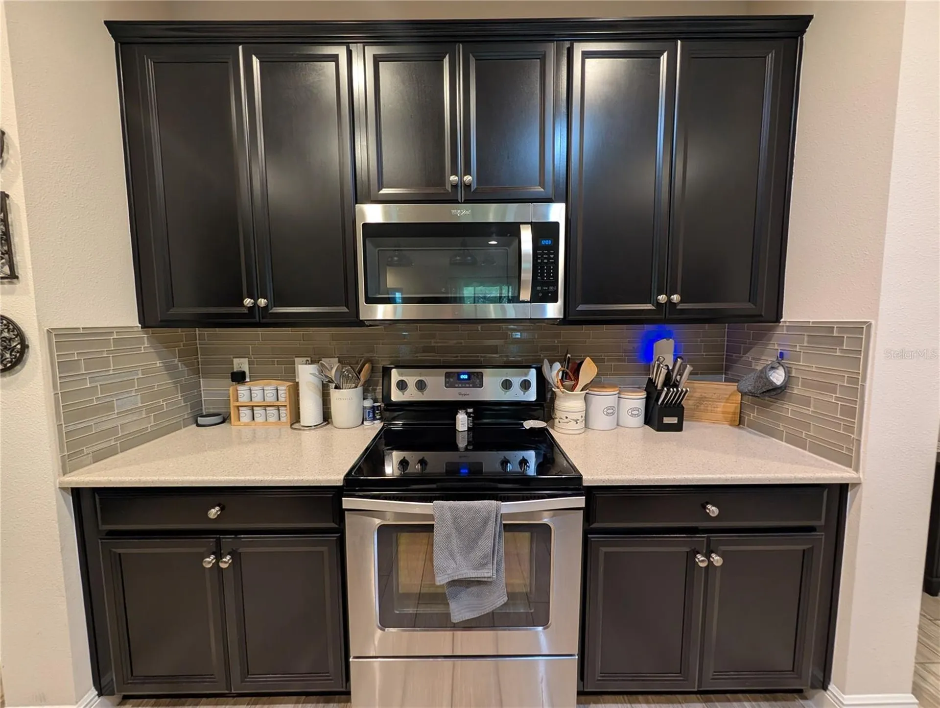 17849 Althea Blue Place Lutz FL 33558