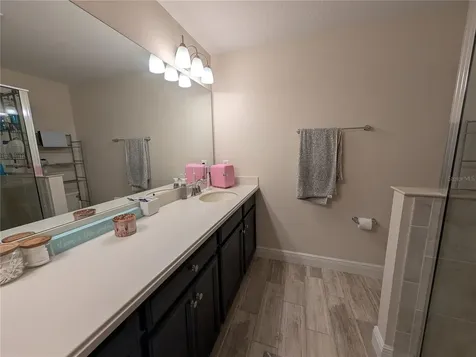 17849 Althea Blue Place Lutz FL 33558