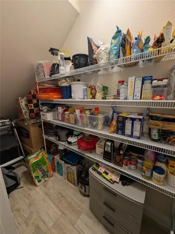 17849 Althea Blue Place Lutz FL 33558