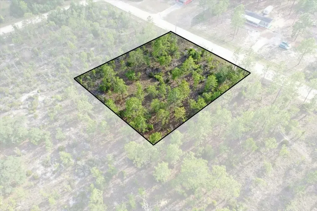 0000 NE 131 Lot 7 Terrace Williston FL 32696