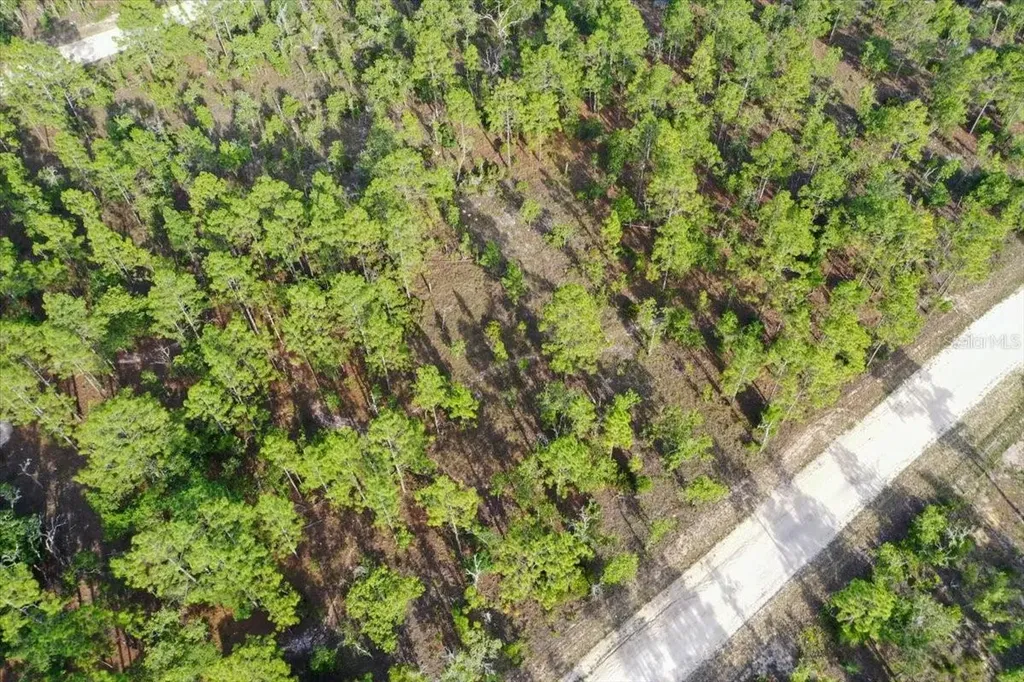 0000 NE 131 Lot 7 Terrace Williston FL 32696