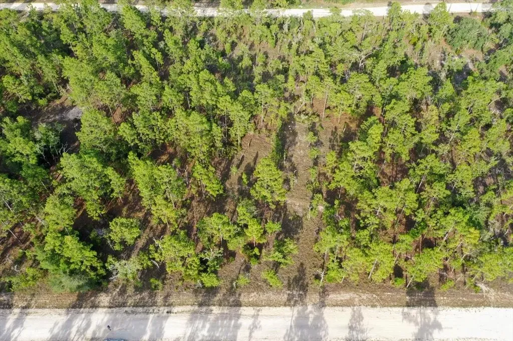 0000 NE 131 Lot 7 Terrace Williston FL 32696