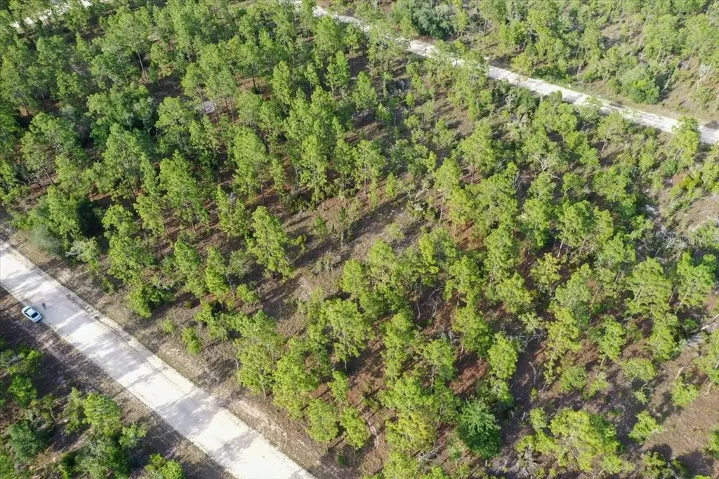 0000 NE 131 Lot 7 Terrace Williston FL 32696