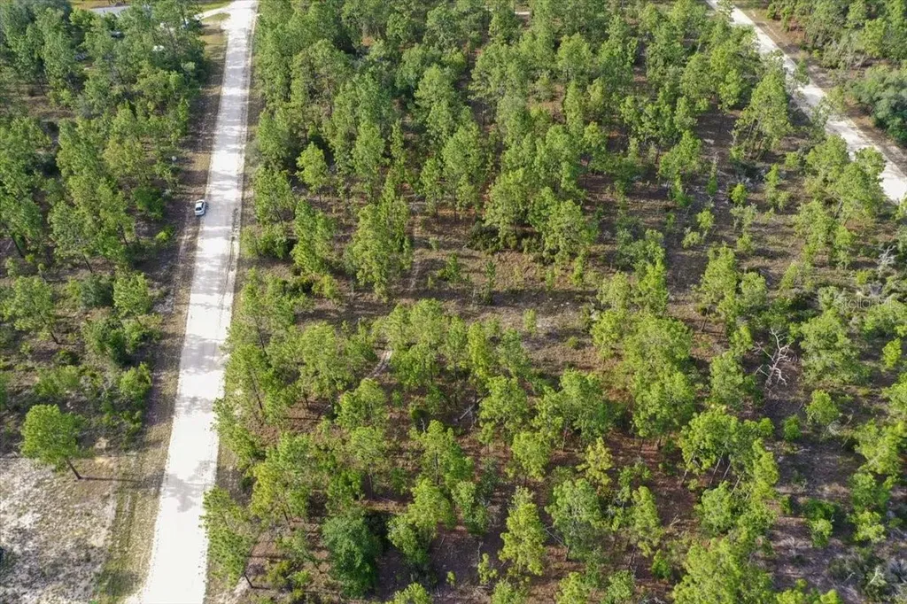 0000 NE 131 Lot 7 Terrace Williston FL 32696
