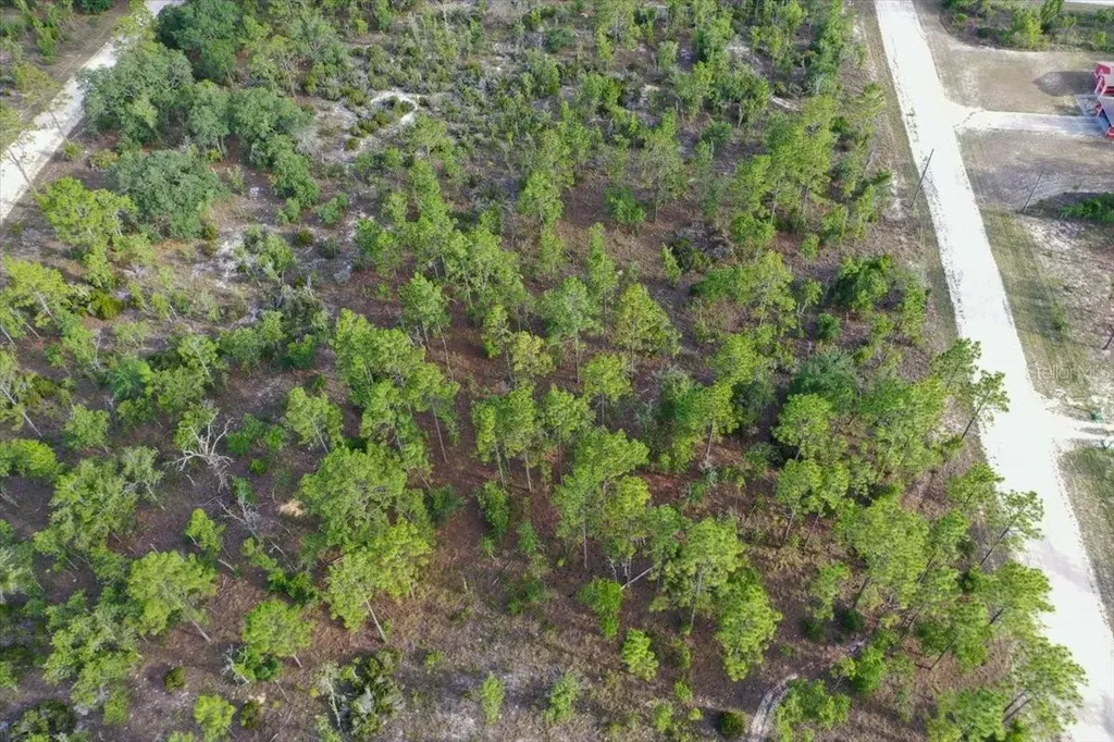 0000 NE 131 Lot 7 Terrace Williston FL 32696
