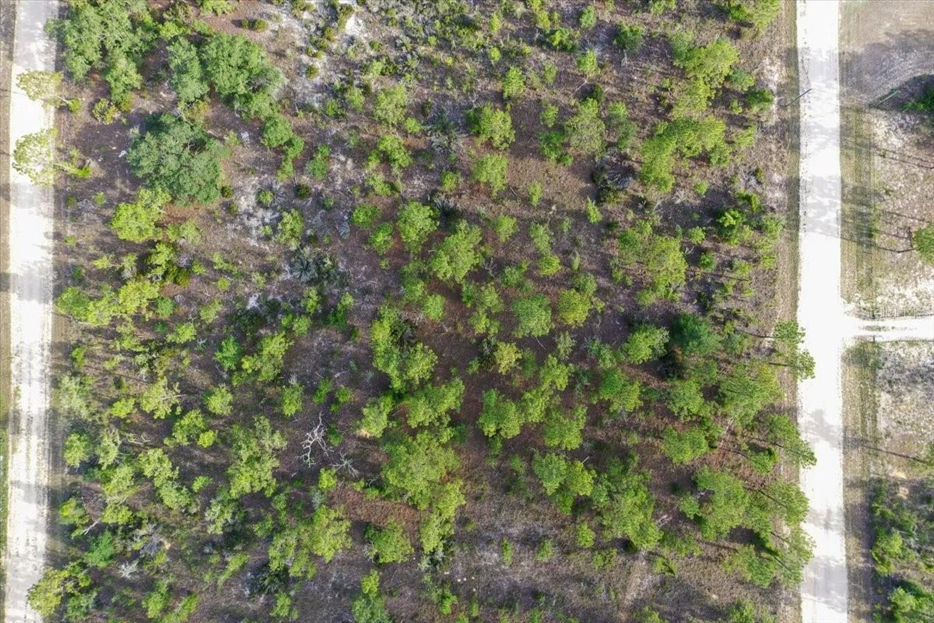 0000 NE 131 Lot 7 Terrace Williston FL 32696