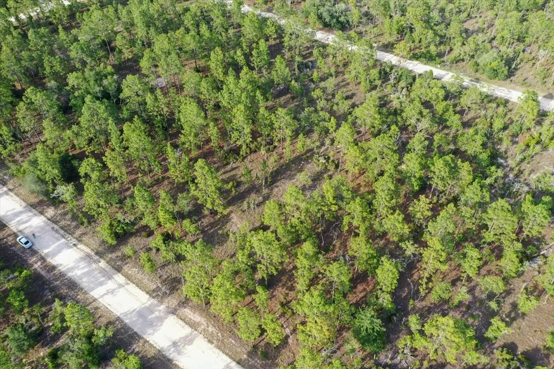 0000 NE 131 Lot 7 Terrace Williston FL 32696