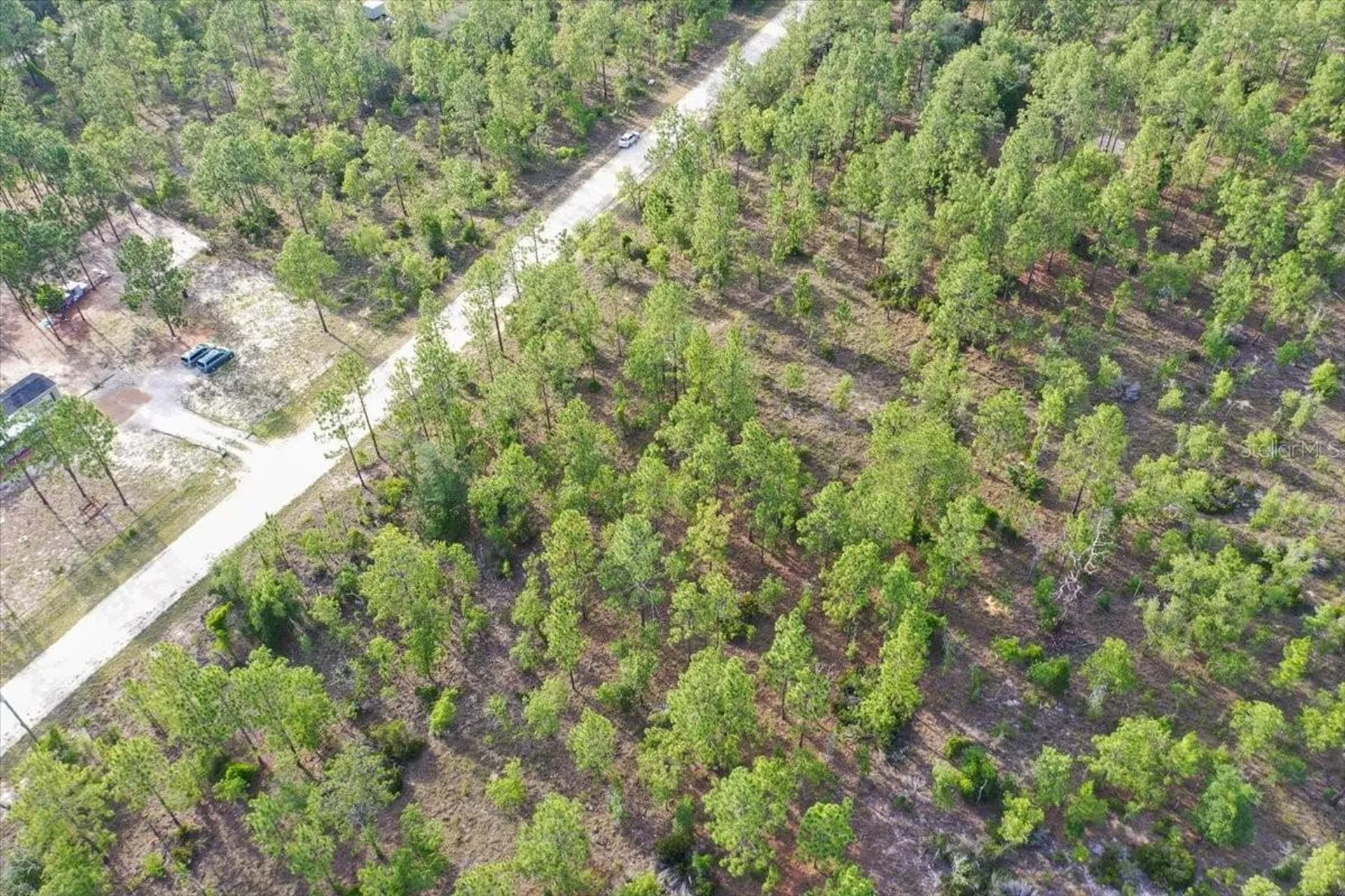 0000 NE 131 Lot 7 Terrace Williston FL 32696