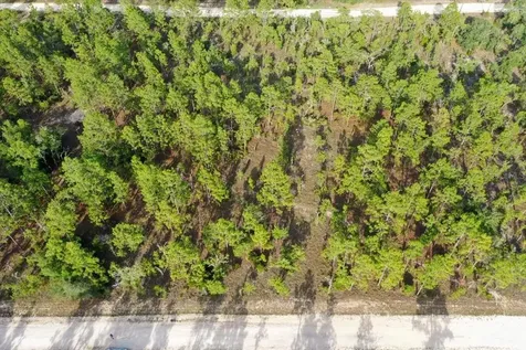 0000 NE 131 Lot 7 Terrace Williston FL 32696