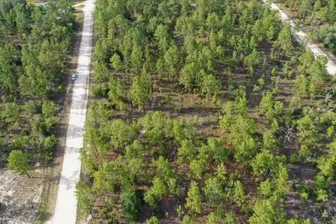 0000 NE 131 Lot 7 Terrace Williston FL 32696