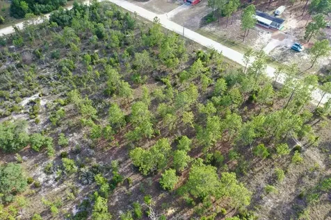 0000 NE 131 Lot 7 Terrace Williston FL 32696