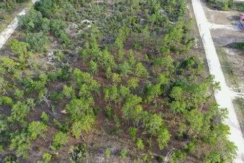0000 NE 131 Lot 7 Terrace Williston FL 32696