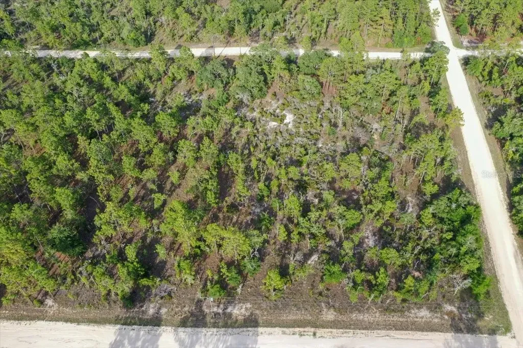 0000 NE 131 Terrace Lot 6 Terrace Williston FL 32696
