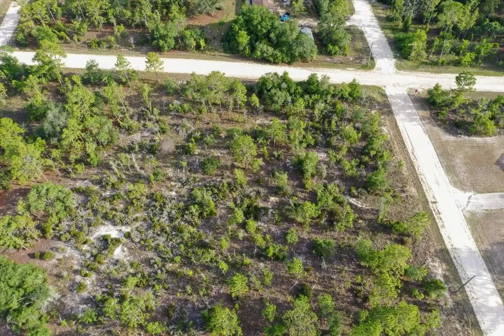 0000 NE 131 Terrace Lot 6 Terrace Williston FL 32696