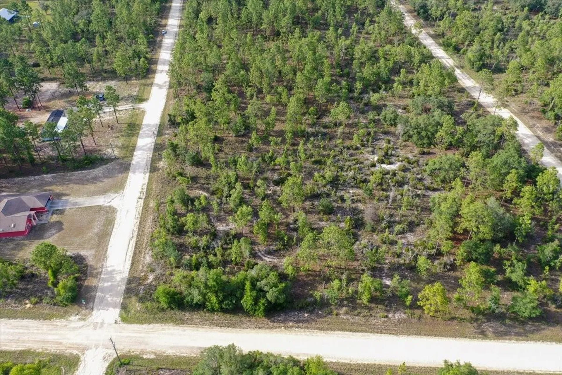 0000 NE 131 Terrace Lot 6 Terrace Williston FL 32696