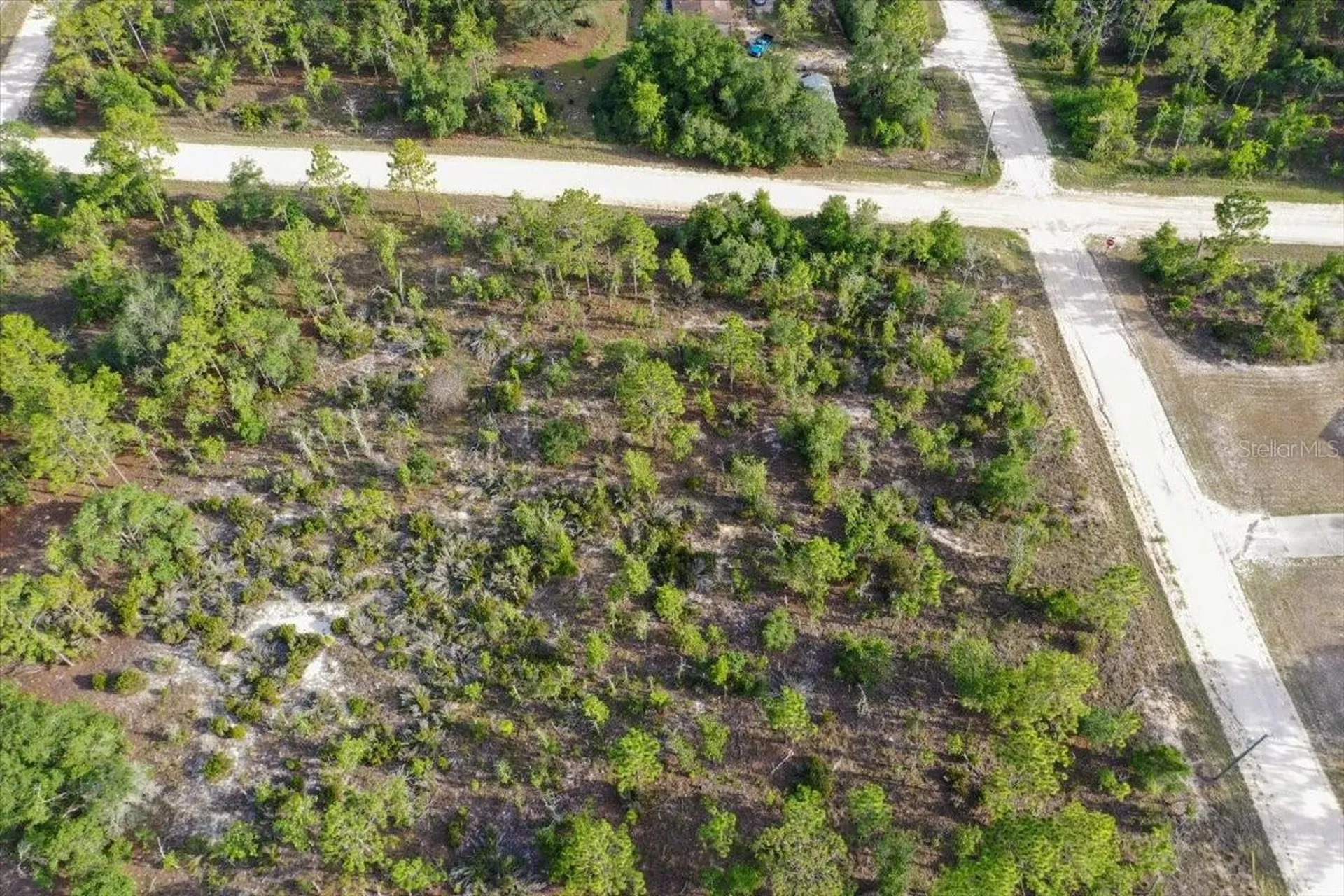 0000 NE 131 Terrace Lot 6 Terrace Williston FL 32696