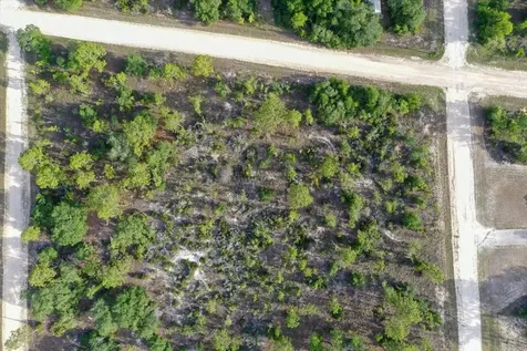 0000 NE 131 Terrace Lot 6 Terrace Williston FL 32696