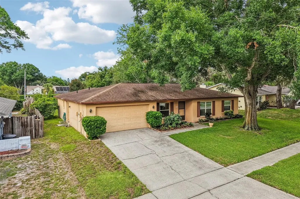 3718 Sand Pebble Drive Valrico FL 33596