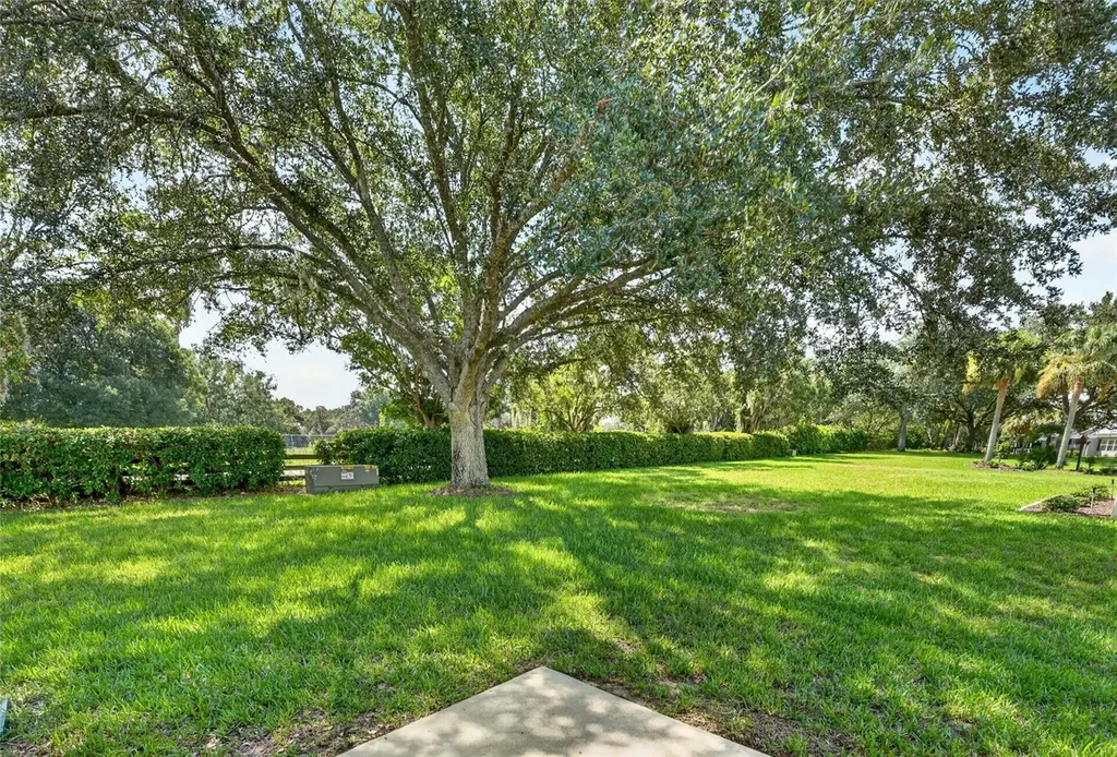 187 Olanta Drive The Villages FL 32162