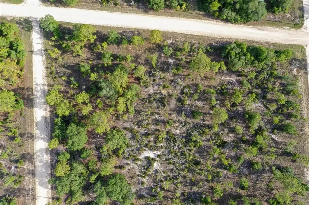 0000 NE 132 Terrace Lot 5 Terrace Williston FL 32696