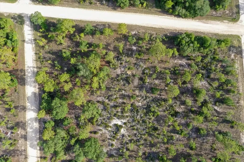 0000 NE 132 Terrace Lot 5 Terrace Williston FL 32696