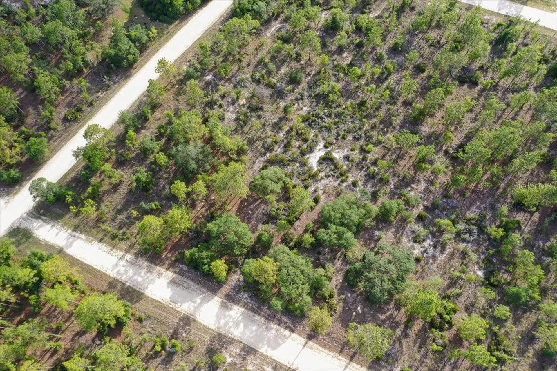 0000 NE 132 Terrace Lot 5 Terrace Williston FL 32696