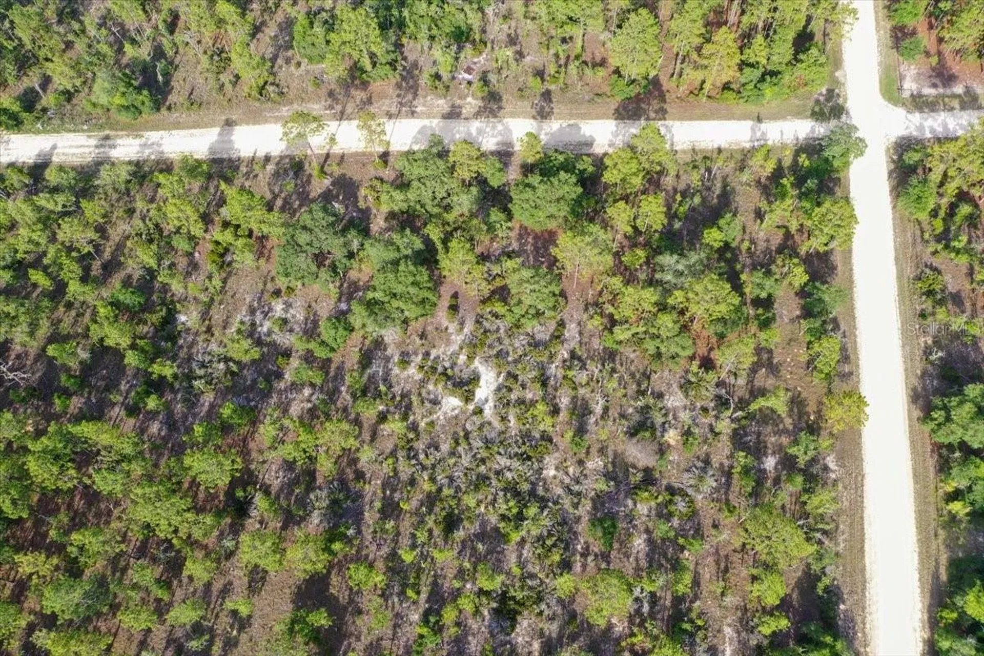 0000 NE 132 Terrace Lot 5 Terrace Williston FL 32696