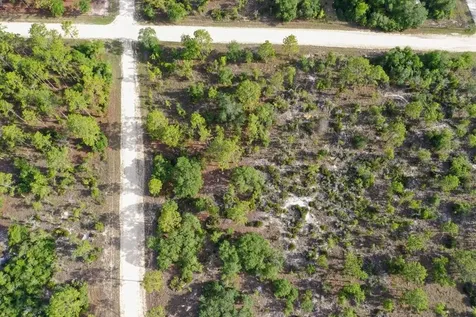 0000 NE 132 Terrace Lot 5 Terrace Williston FL 32696