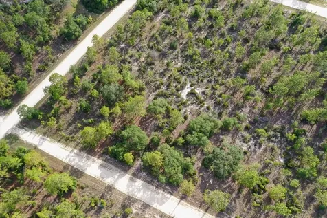 0000 NE 132 Terrace Lot 5 Terrace Williston FL 32696