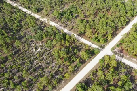 0000 NE 132 Terrace Lot 5 Terrace Williston FL 32696
