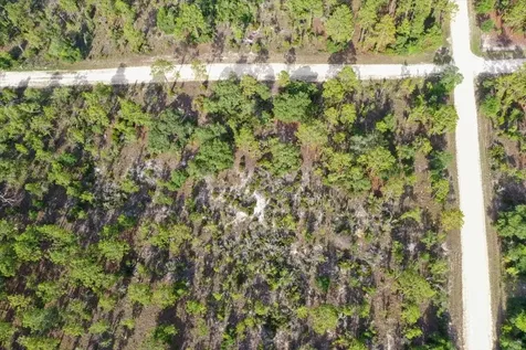 0000 NE 132 Terrace Lot 5 Terrace Williston FL 32696